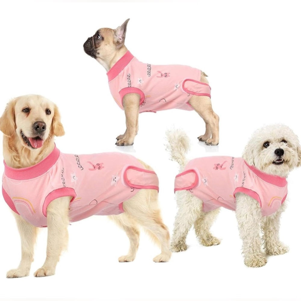 🍁 Dog Recovery Suit After Surgery